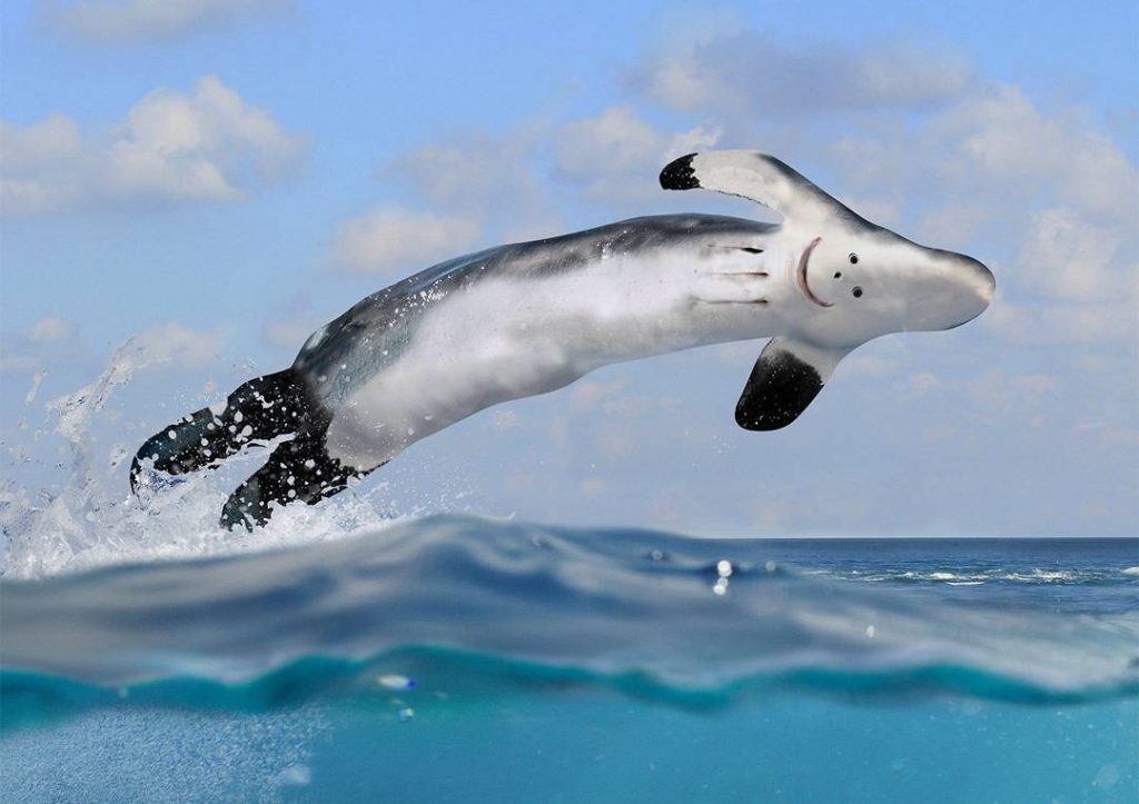 A gyermeki képzelet és a valóság a photoshop tükrén keresztül – Nemigen! Magazin