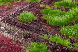Az örök perzsaszőnyegek és a mulandóság ambivalens installációja