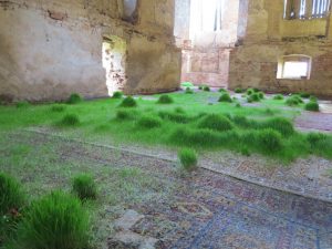 Az örök perzsaszőnyegek és a mulandóság ambivalens installációja