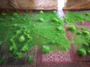 Az örök perzsaszőnyegek és a mulandóság ambivalens installációja