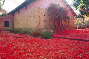 A hűség kifejeződése a művészetben