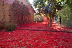 A hűség kifejeződése a művészetben